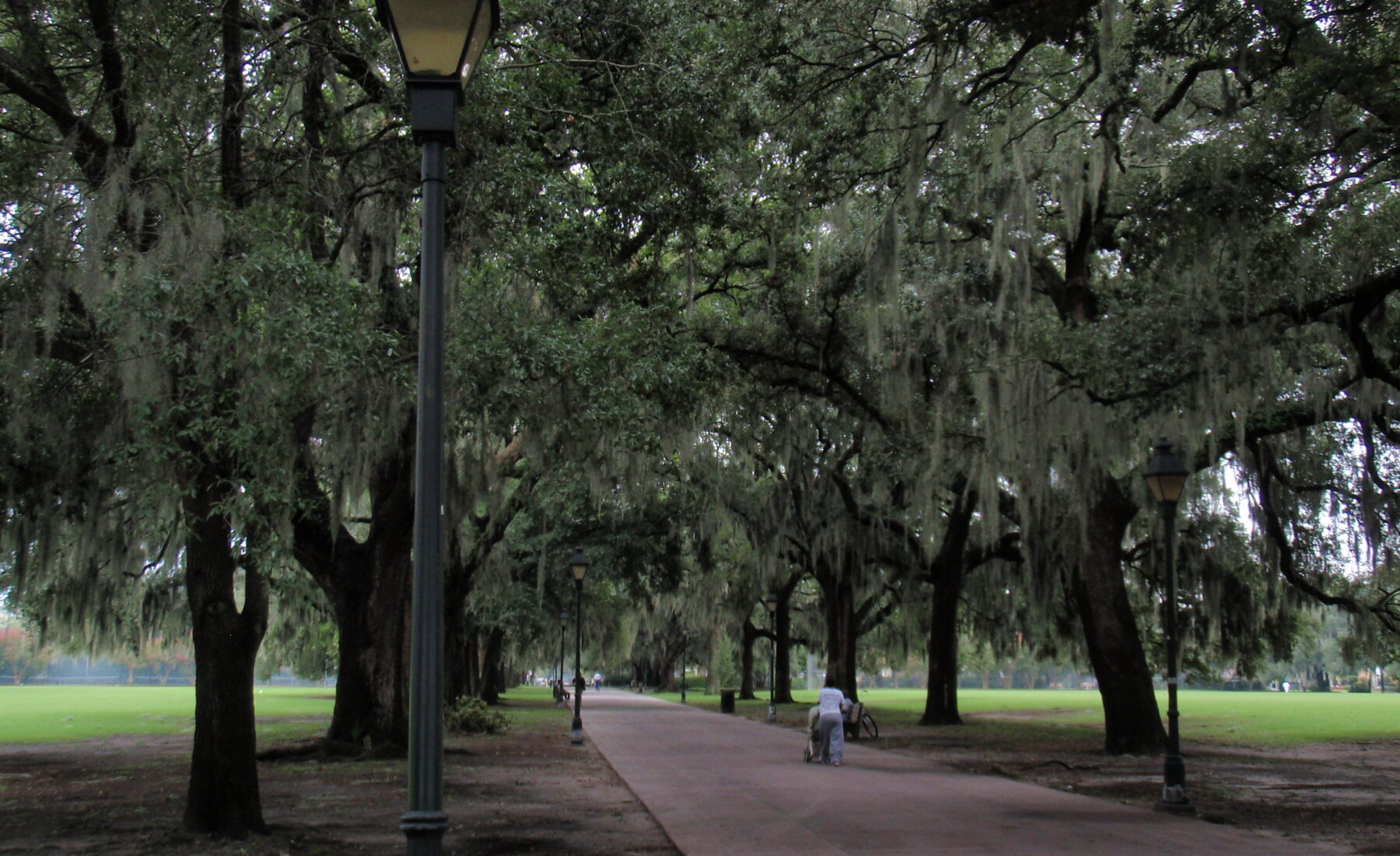 Forsyth Park