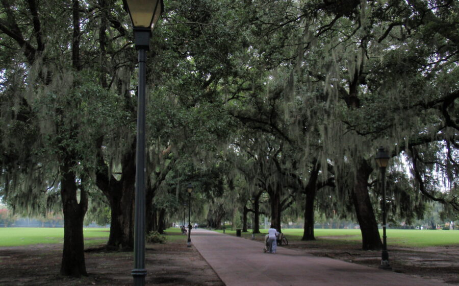 Forsyth Park