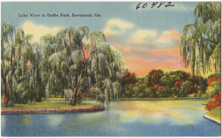 Lake Mayer Park