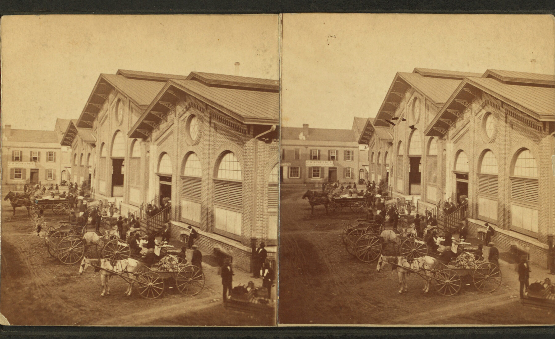 Savannah City Market