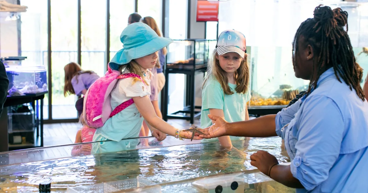 Tybee Island Marine Science Center in Savannah